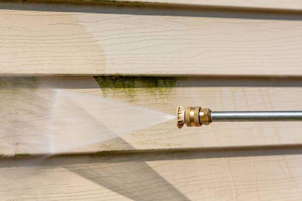 Best Affordable Power Washing  in Mill Creek, WA